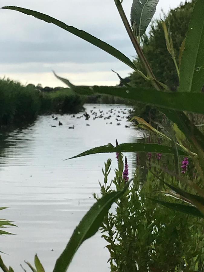 הוילה Iris'T; Dijkhuisje In De Polders Van Groede. מראה חיצוני תמונה