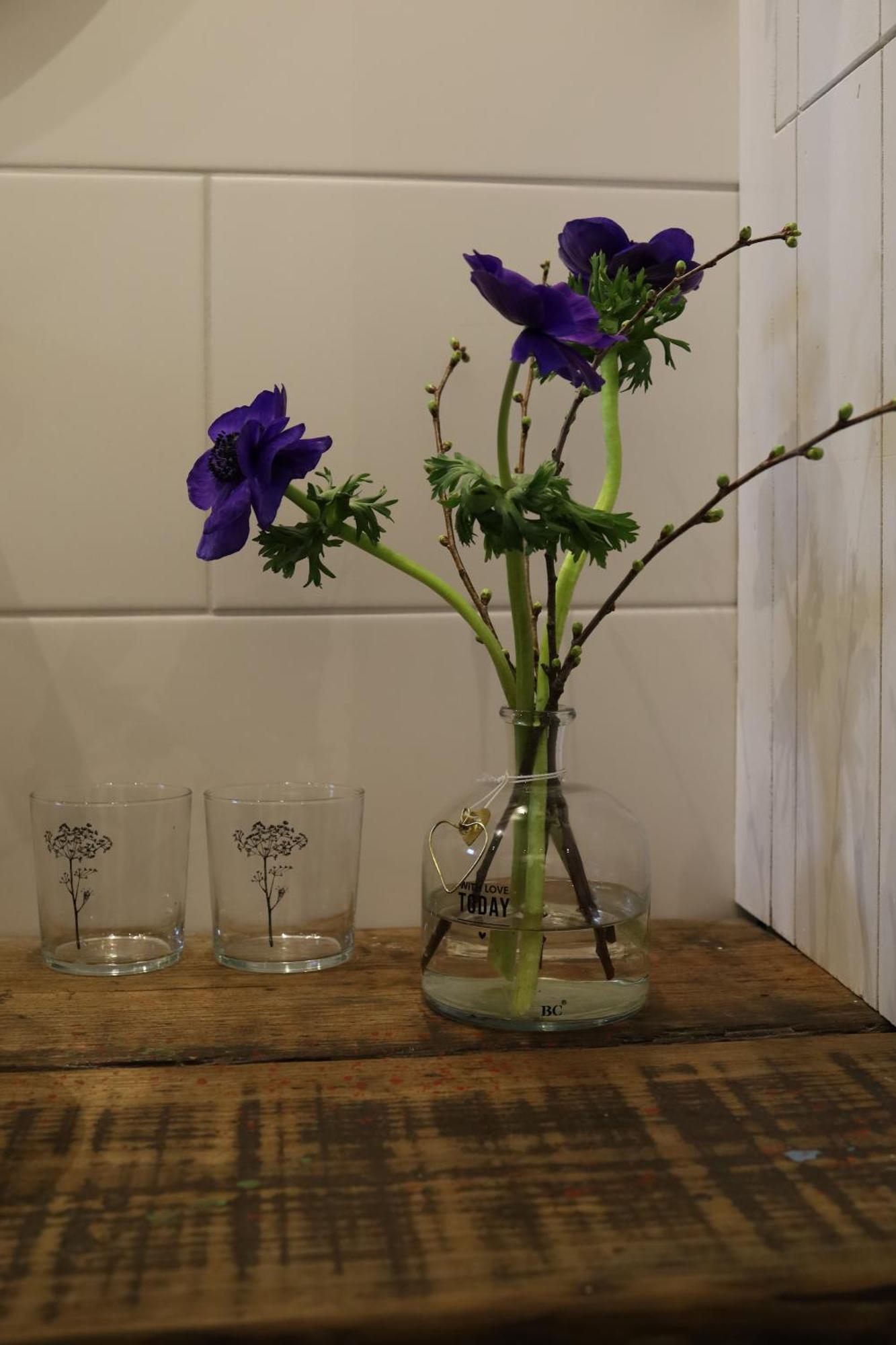 הוילה Iris'T; Dijkhuisje In De Polders Van Groede. מראה חיצוני תמונה